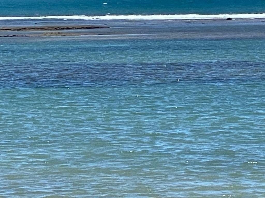 Casa Grande Sao Vicente Hotell Porto Seguro Eksteriør bilde