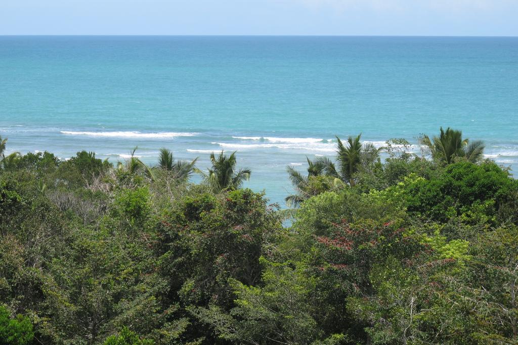 Casa Grande Sao Vicente Hotell Porto Seguro Eksteriør bilde